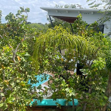 Villas Isla Escondida Boca Chica Zewnętrze zdjęcie