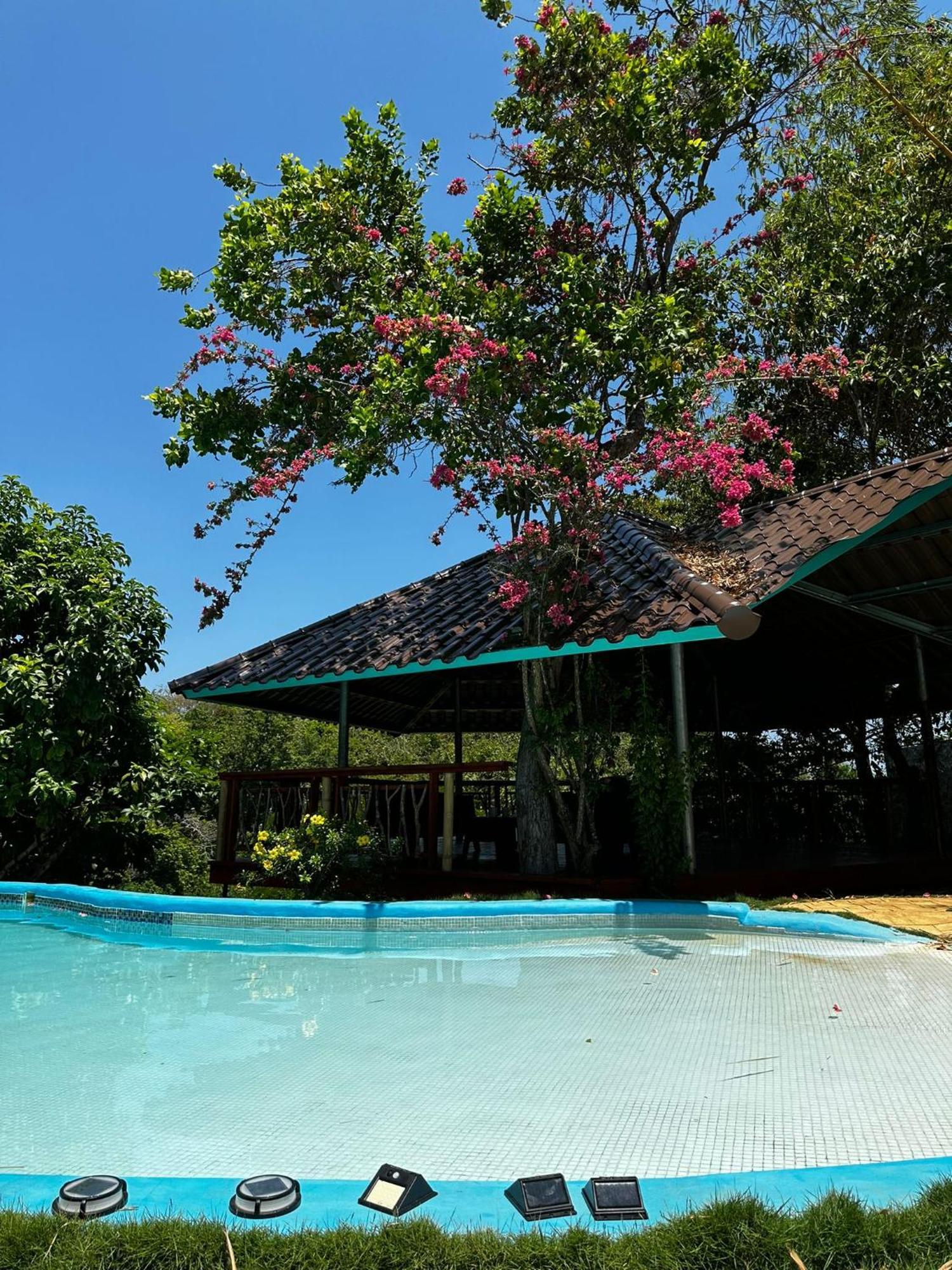 Villas Isla Escondida Boca Chica Zewnętrze zdjęcie