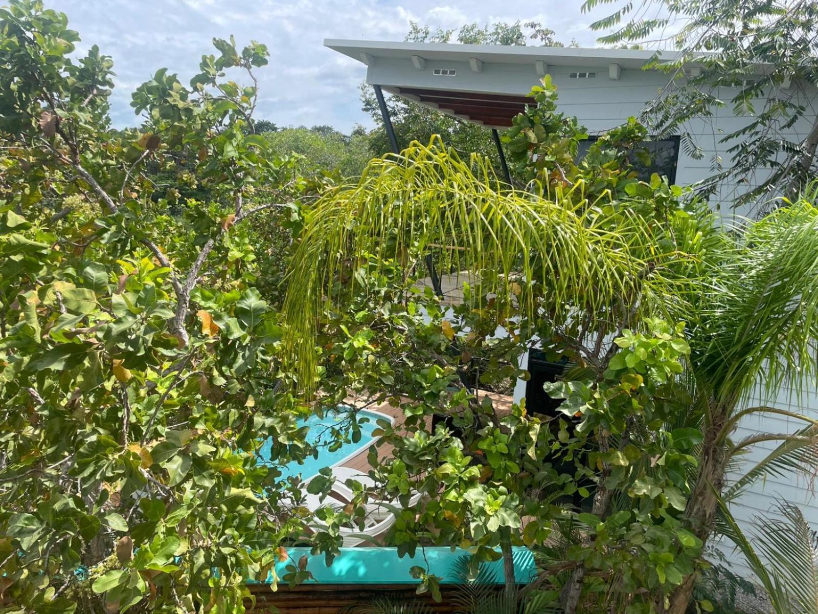 Villas Isla Escondida Boca Chica Zewnętrze zdjęcie